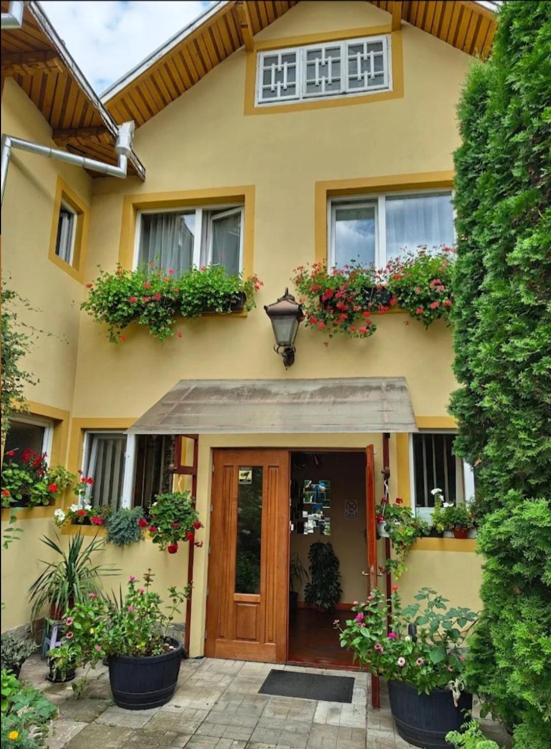 B&B Dumbrava Gura Humorului Exterior photo